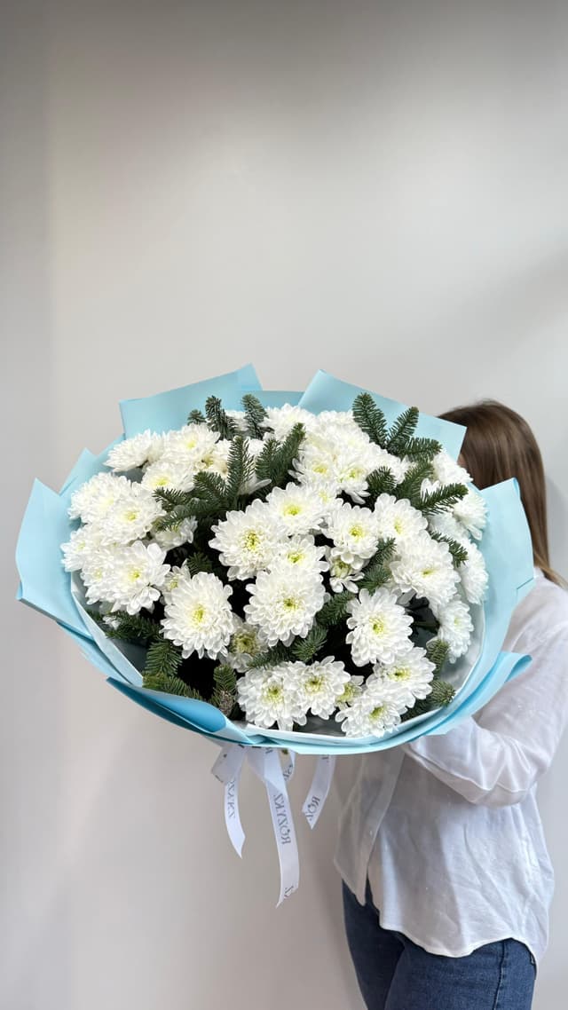 Хризантема & нобилис өлшемі M ЖЖ