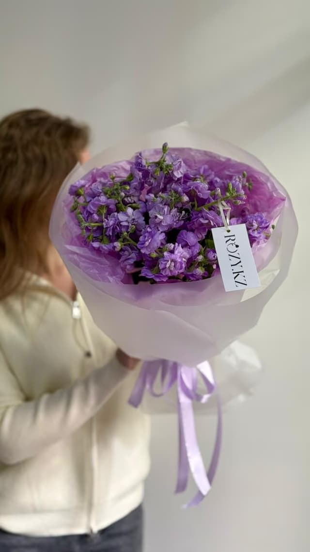 Mono of matthiola