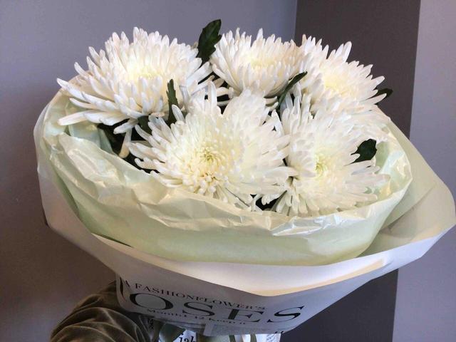 e09b4b531483c35eda931bd103178f1528f1477c