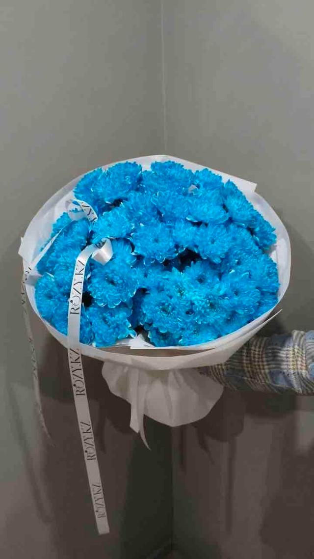 3cace79996c5f9880431ab404f4962209e4c5ac6