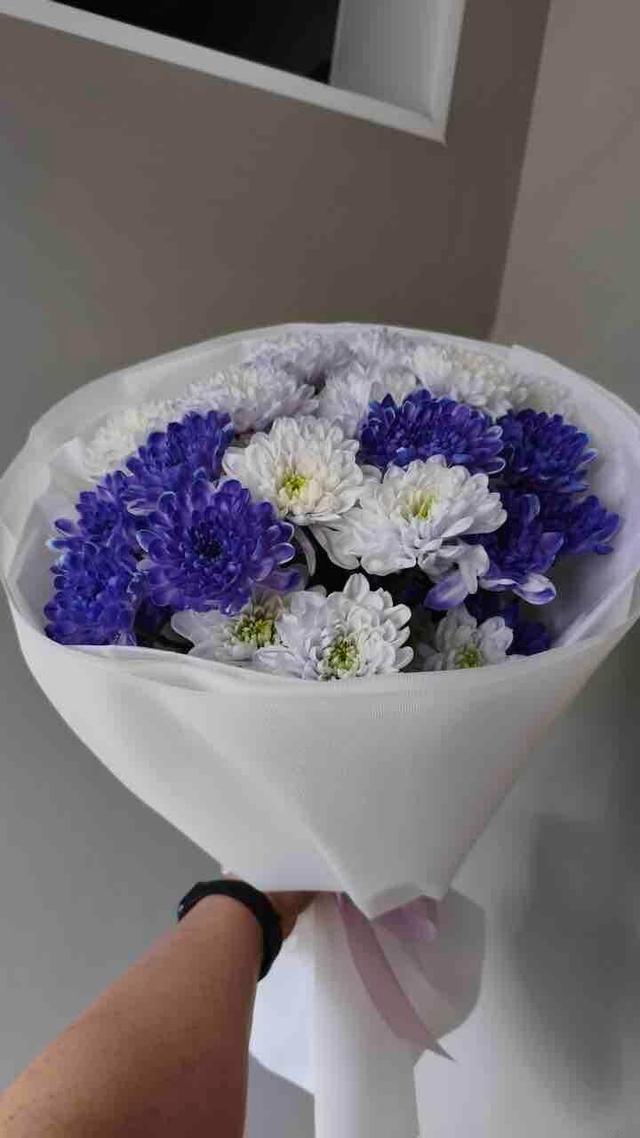 366e24a0fc0bc86373ca37103cb647c3215e9ac2