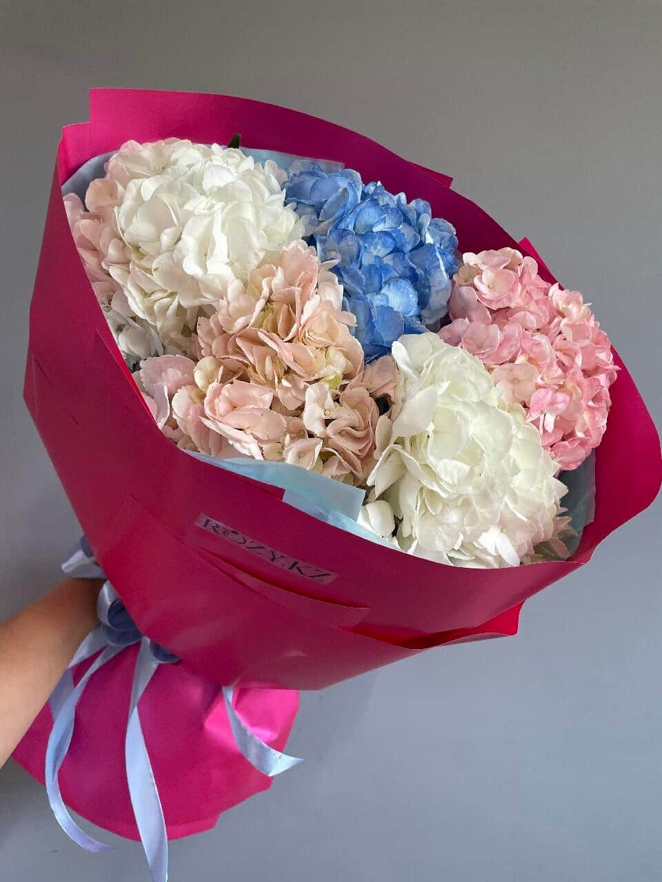 Hydrangea 5 pcs (hydrangeas 5 pcs)