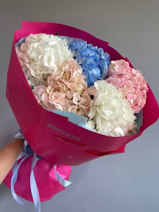 Hydrangea 5 pcs (hydrangeas 5 pcs)
