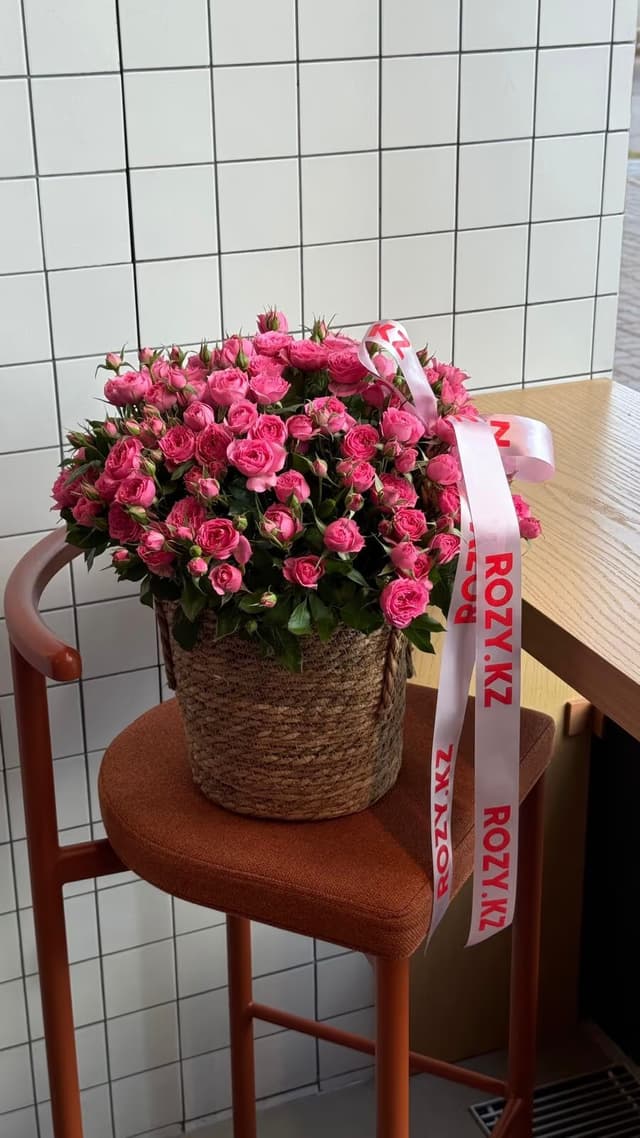 Basket of roses Romeo L — Spray rose Sophie