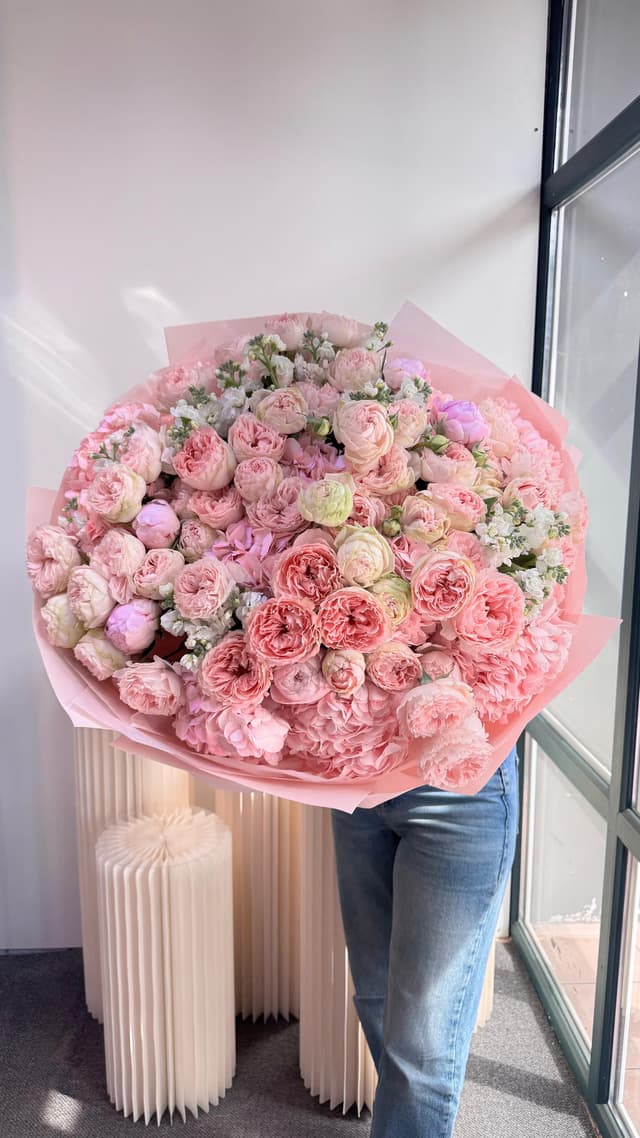 Wow Peony Drea — Гортензия, Бұта раушан премиум