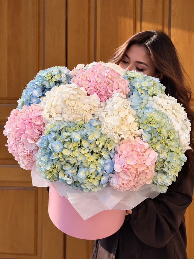 Коробка с гортензиями Hydrangea Cloud