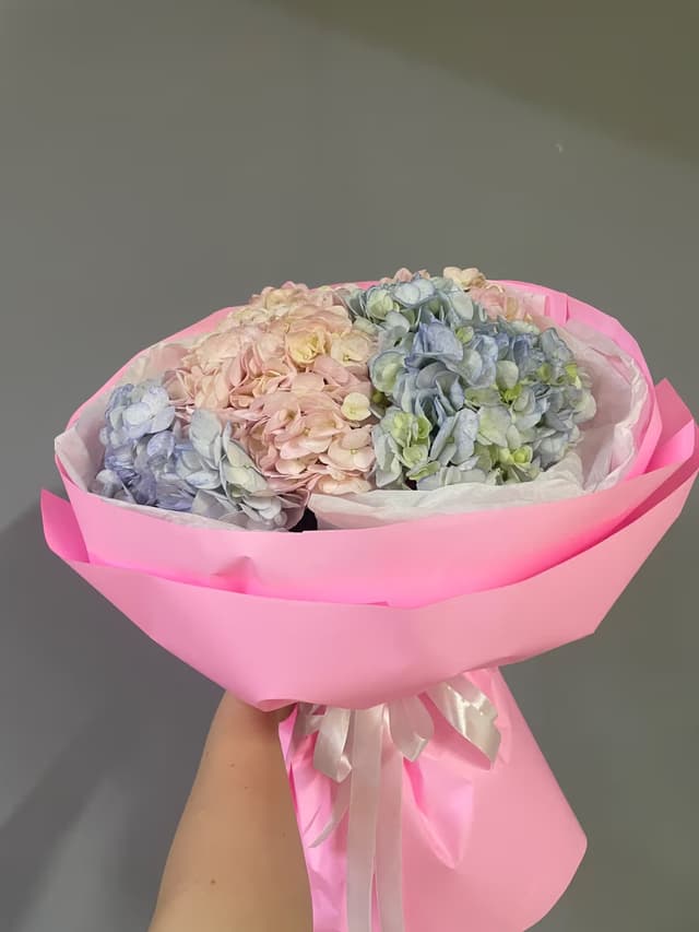«Летний дождь» — Гортензия