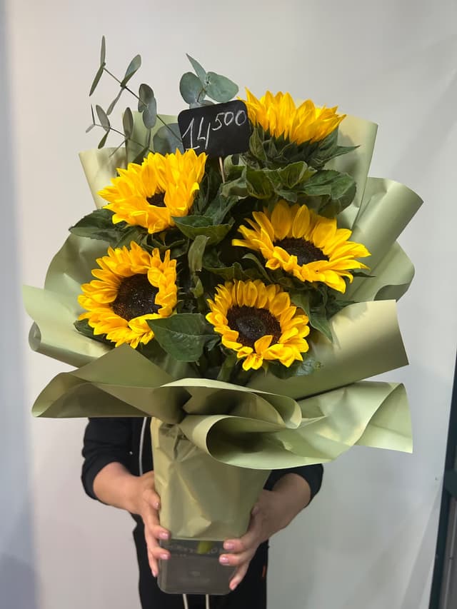 Sunny Radiance — Helianthus Jua Inca, Eucalyptus cinerea